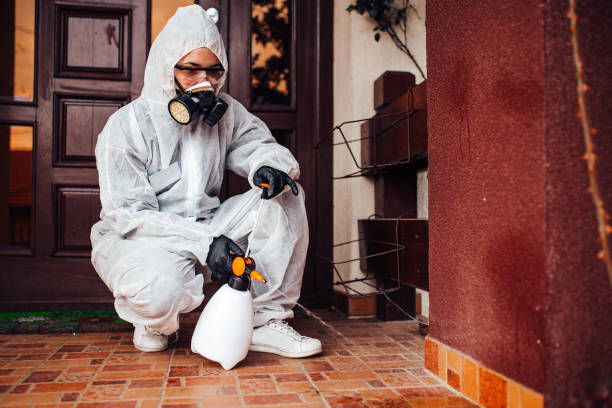 Reliable Ant Control contractor in Gila Bend, AZ by Nex Pest Control